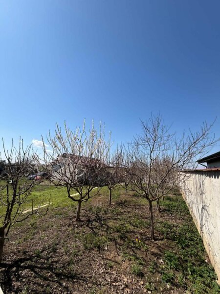 Berceni - Str.Primaverii
